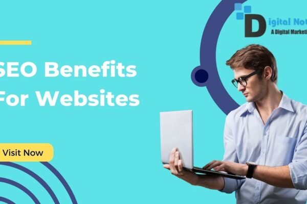 organic seo services